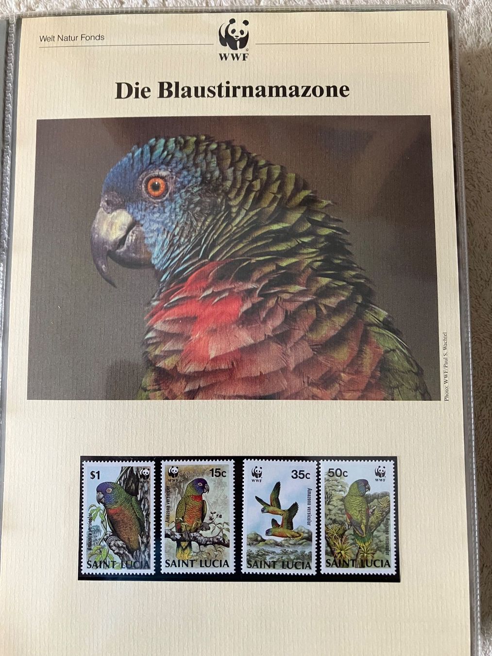 Alle Briefmarken: 6 Ordner WWF Briefmarken – Gebraucht aus Baar von Ramona10 9