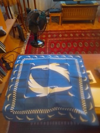 1 foulard Winston.ch