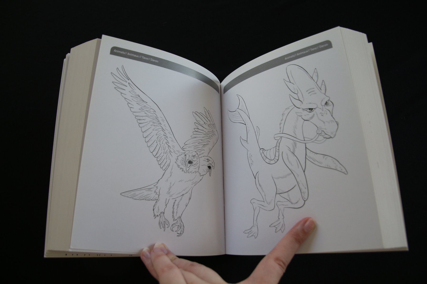 Libri: Magical Creatures Handbook – Nuovo (secondo la descrizione) da Eschlikon TG venduto da Spitzmuus 3