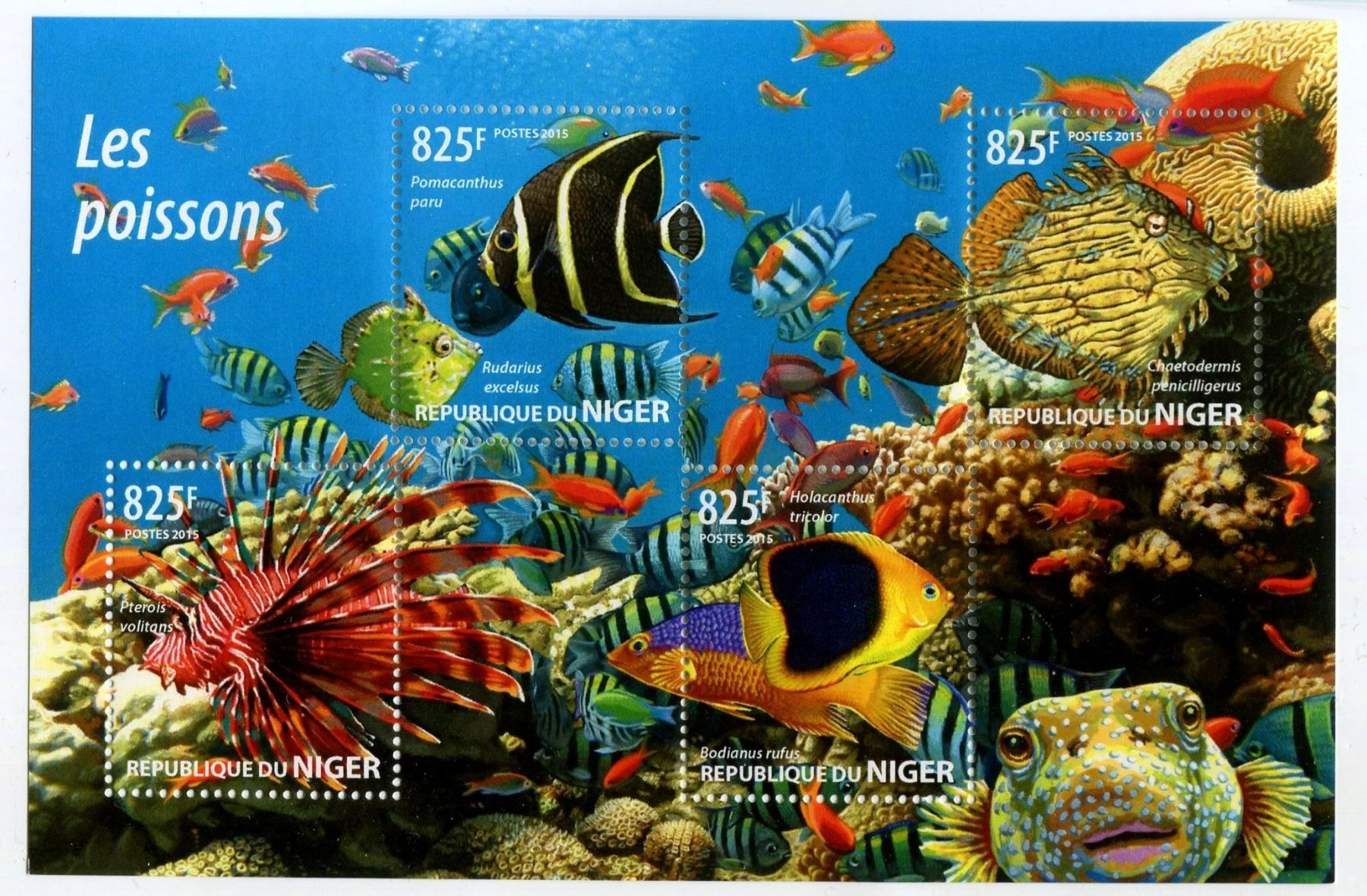 Tutti i francobolli: Block "Fische". Niger. – Nuovo e nell'imballaggio originale da Basel venduto da Butsch5