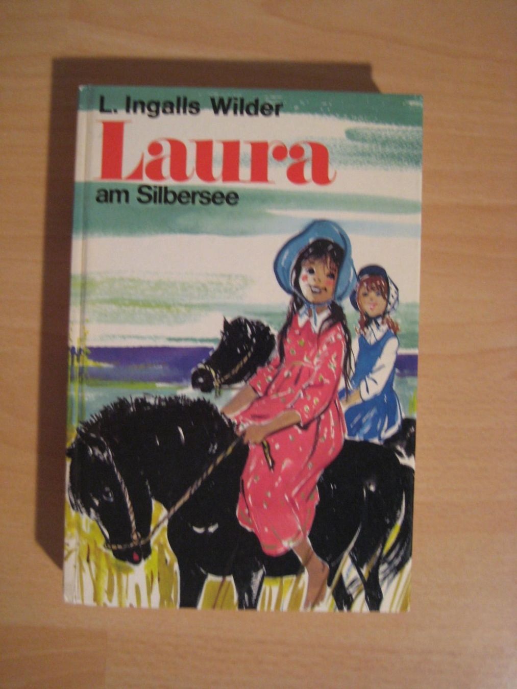 Livres: Laura am Silbersee – D'occasion à Greifensee par Janali01