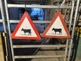 Tierschild Vorsicht