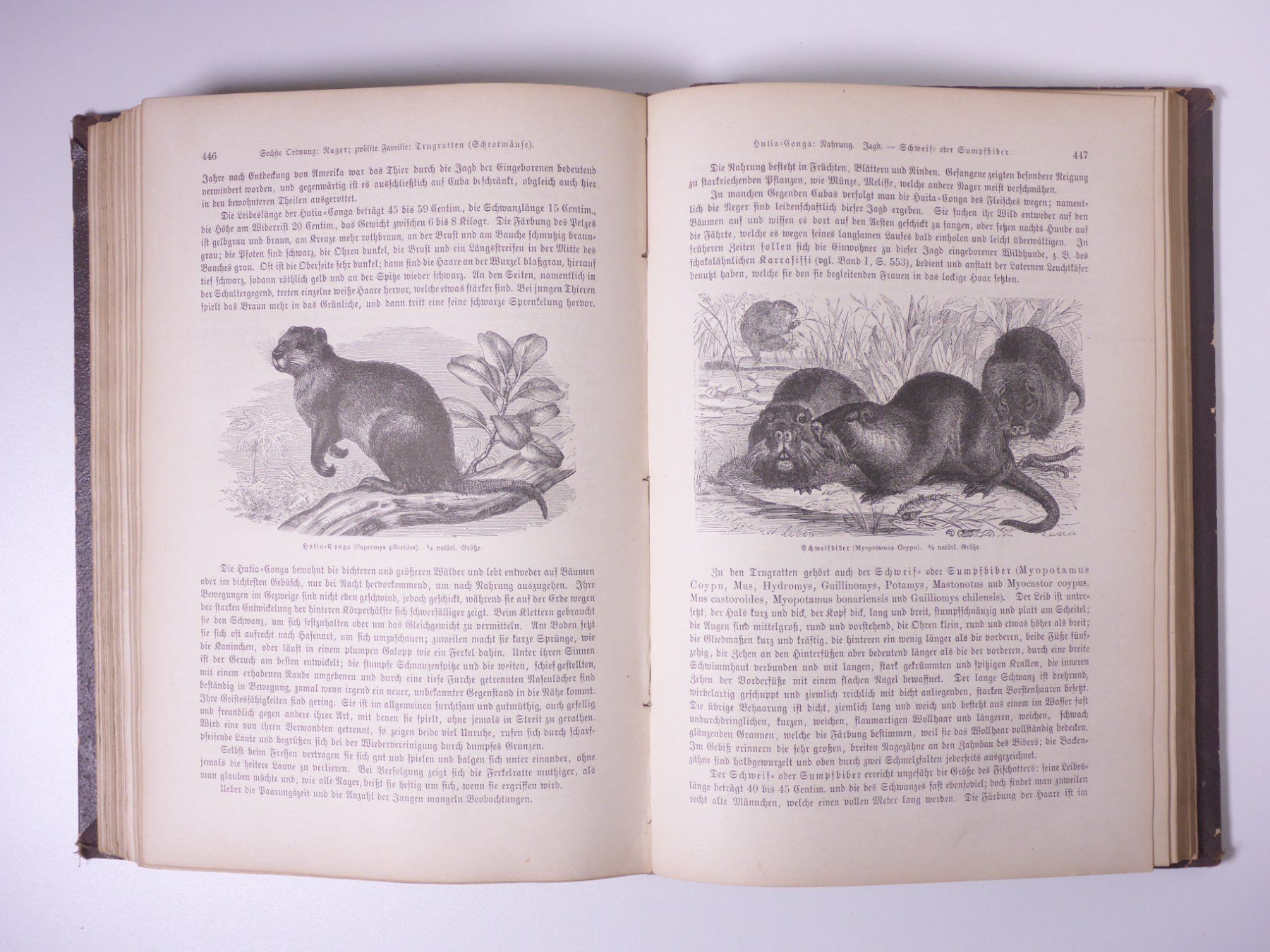 Libri: Brehms Thierleben (Tierleben) 3 Bände. – Usato da Erschwil venduto da taglang 6