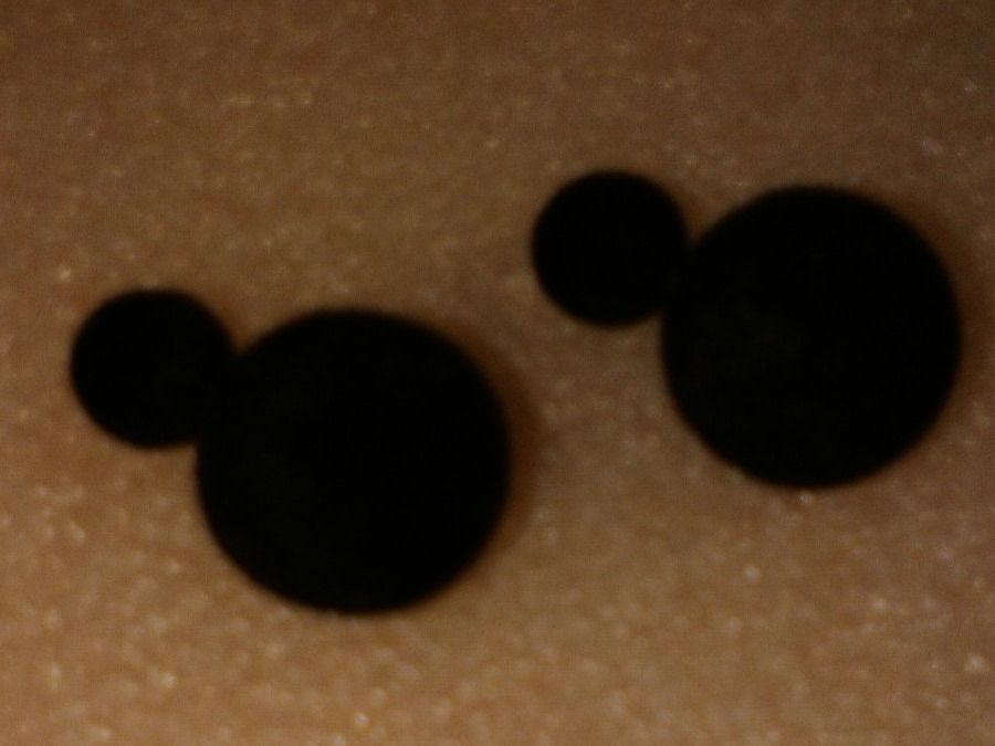 Orecchini pendenti & Orecchini a lobo: OHRRINGE MODESCHMUCK,,,SCHWARZ,,,MATTE – Nuovo (secondo la descrizione) da Basel venduto da bijoutrie_4 3