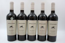 5x EPICURO Aglianico Puglia IGP Rotwein (26070763Z)