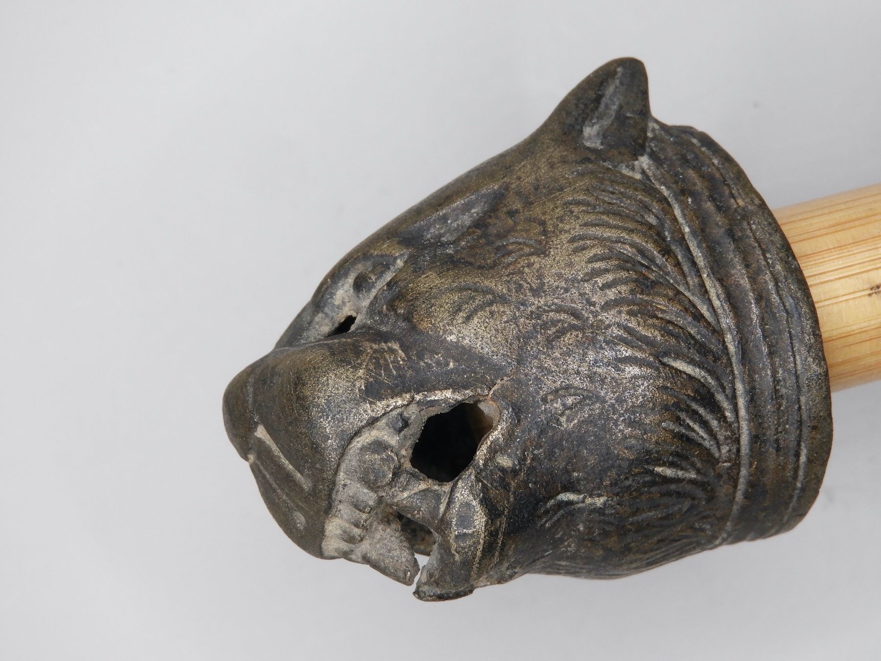 Statuette: Antiker Kopf einer Wildkatze aus Bronze – Usato da Horw venduto da luzernicus 3