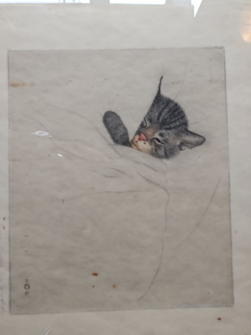 Gemälde: Guido Grünewald Katze Radierung – Gebraucht aus Riehen von twentymodern 1