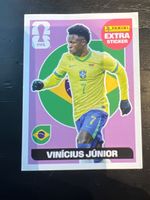 Panini Extra Sticker Vinícius Júnior Pink WM 2026