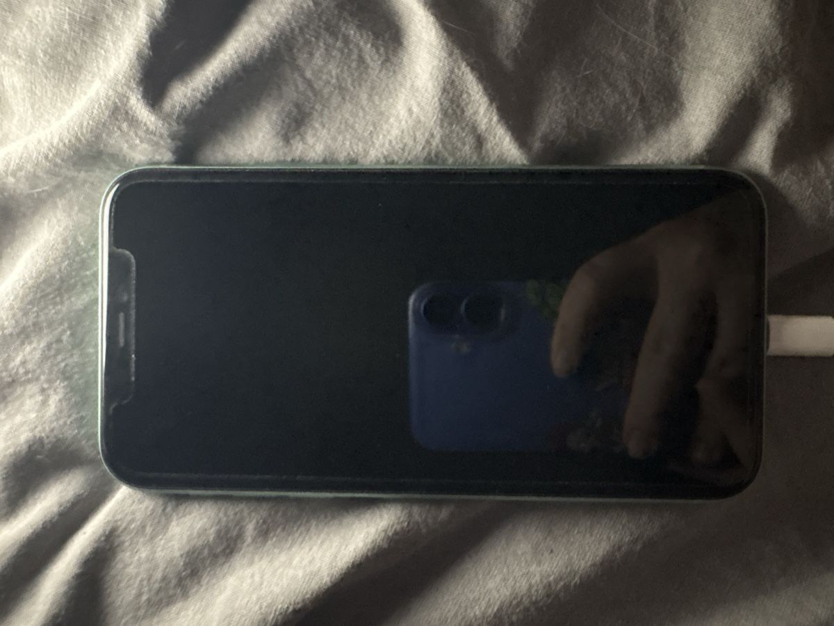 Apple Telefoni cellulari / Smartphones: iPhone 11 64g turquoise – Usato da sion venduto da iwa_w2l8 1
