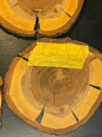 Holzscheiben Kirsche 4 Stück