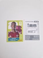 Panini Sticker QAT20