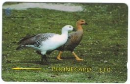 Telefonkarte Falkland Gänse