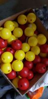 Bälle für 3 Tennis-Resultatanzeiger