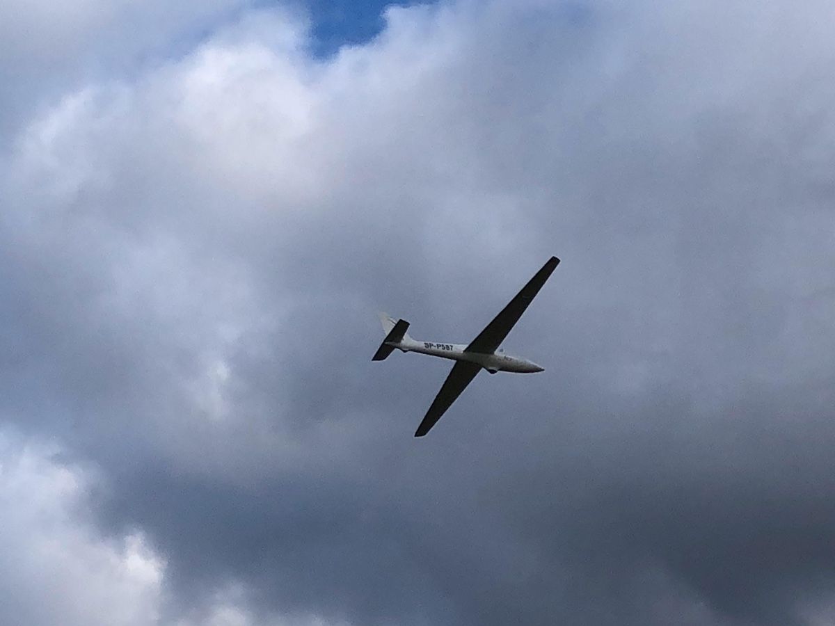 Modellismo RC: Gerasis FOX 4m flugbereit – Usato da Cordast venduto da Balduin3 1