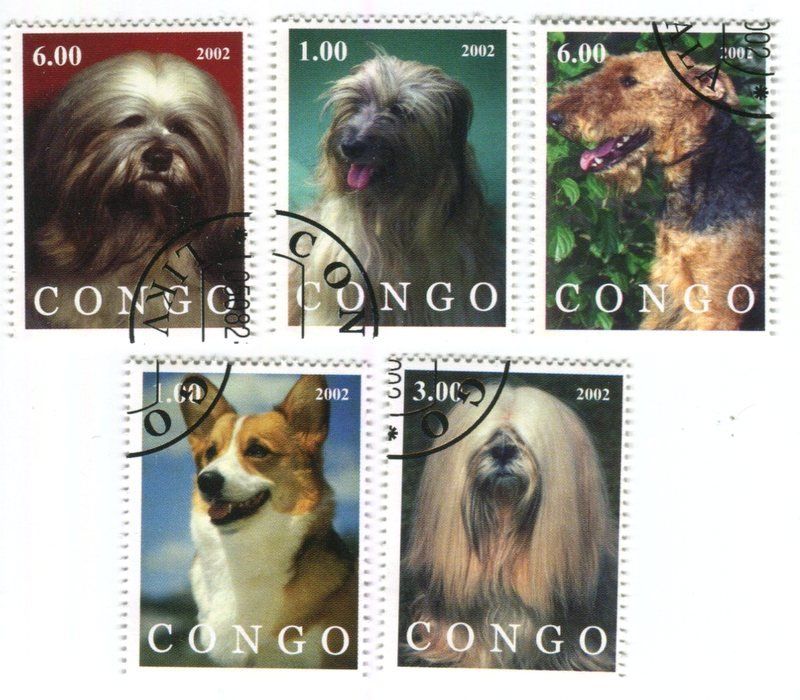 Tutti i francobolli: Briefmarken "Hunde". Kongo – Nuovo e nell'imballaggio originale da Basel venduto da Butsch5