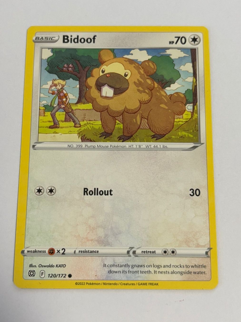 Pokémon Sammelbilder & Trading cards: Pokemon-Karte Bidoof 120/172 – Gebraucht aus Herisau von Seyashop1