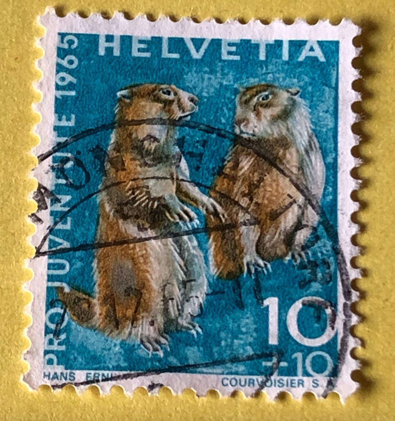 Tutti i francobolli: Nr.J 211 GESTEMPELT Alpenmurmeltier 1965   – Usato da Aarau venduto da Billa007