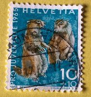 Nr.J 211 GESTEMPELT Alpenmurmeltier 1965  