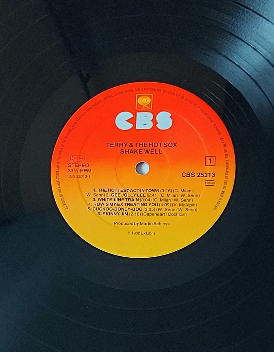 Schallplatten: LP - TERRY AND THE HOT SOX - SHAKE WELL – Gebraucht aus Steckborn von Quo7 1