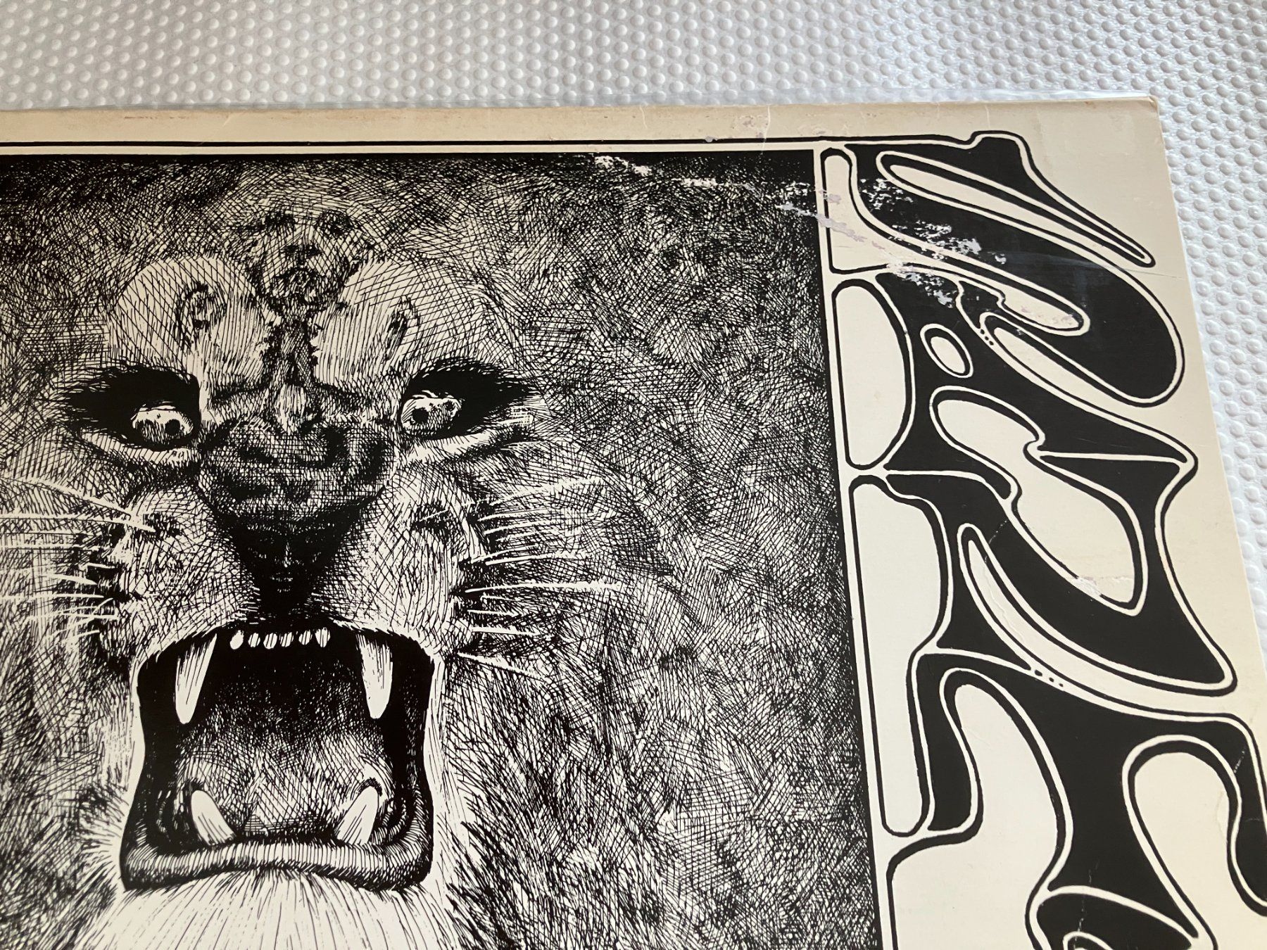 Dischi in vinile: Santana – Usato da Aarwangen venduto da Jukebox3 1
