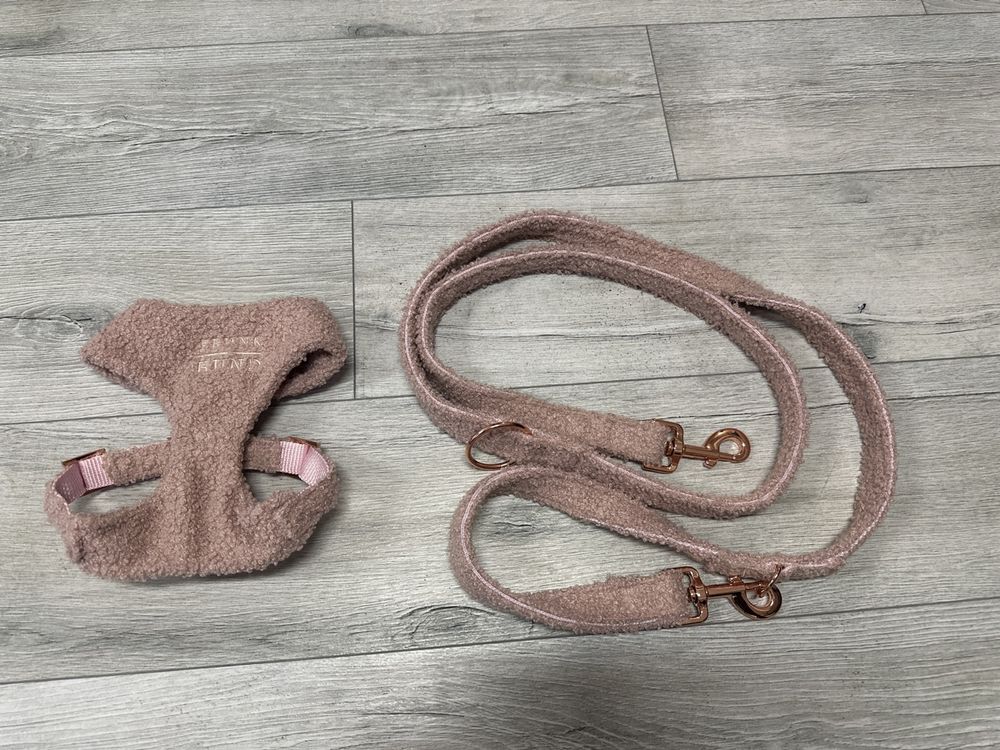 Hundegeschirr & Leinen-Set Aus Denim – Verstellbar, Robust & Bequem, Größe XS