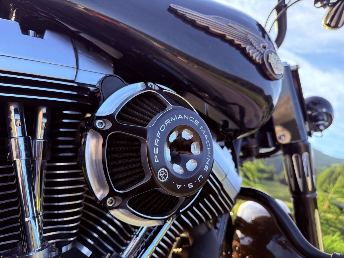 Harley-Davidson Chopper: Harley Davidson Fat Boy – Usato da Igis venduto da GTimis