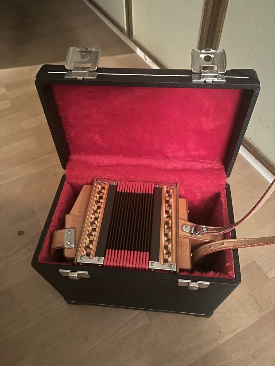 Strumenti musicali: Zanin Örgeli – Usato da Langenthal venduto da d_Alasser 3