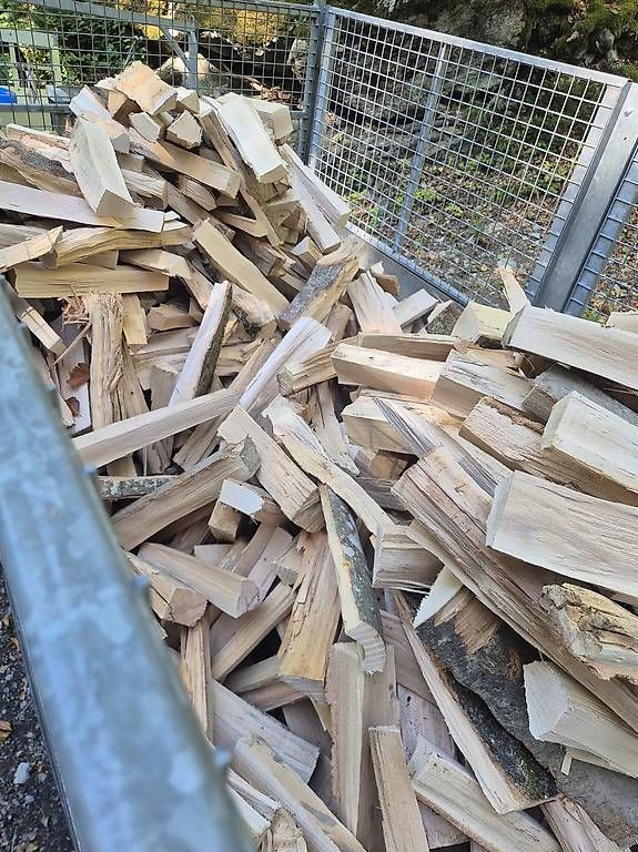 Articoli in legno: Brennholz Buche – Nuovo e nell'imballaggio originale da Sachseln venduto da Cat_m320f 2