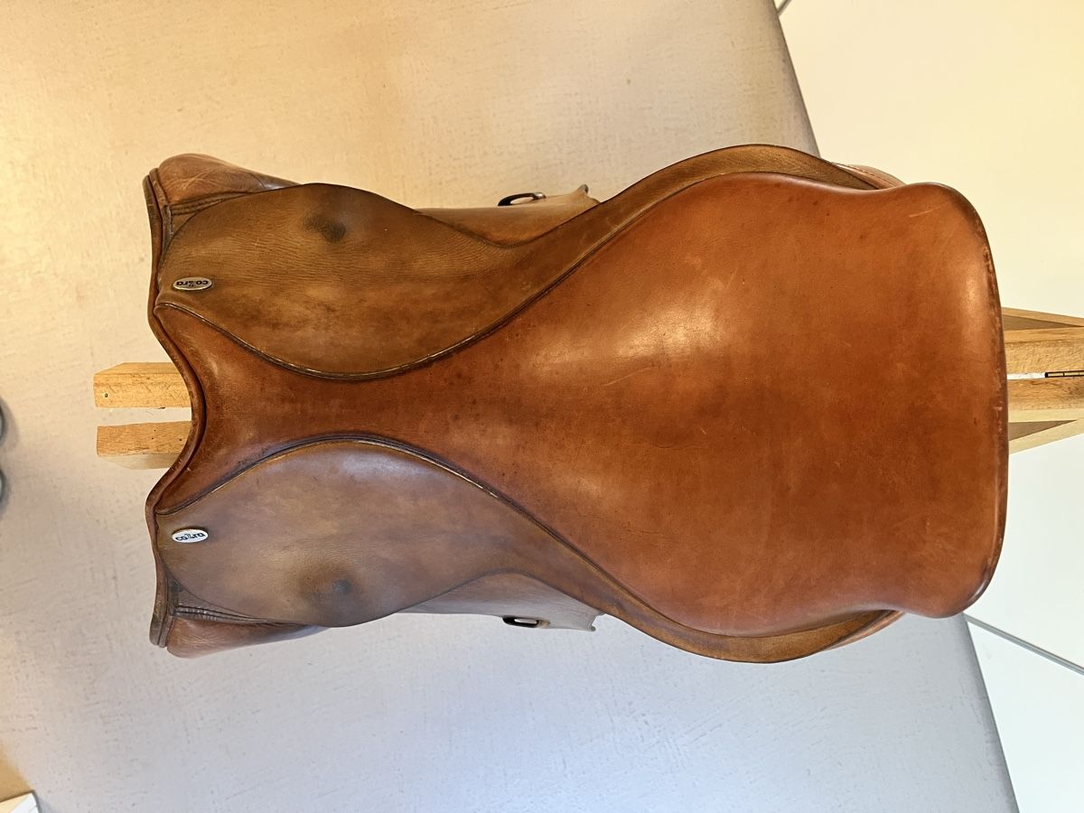 Selle & Accessori: Sattel der Marke Cobra – Usato da Volketswil venduto da knecht78 2