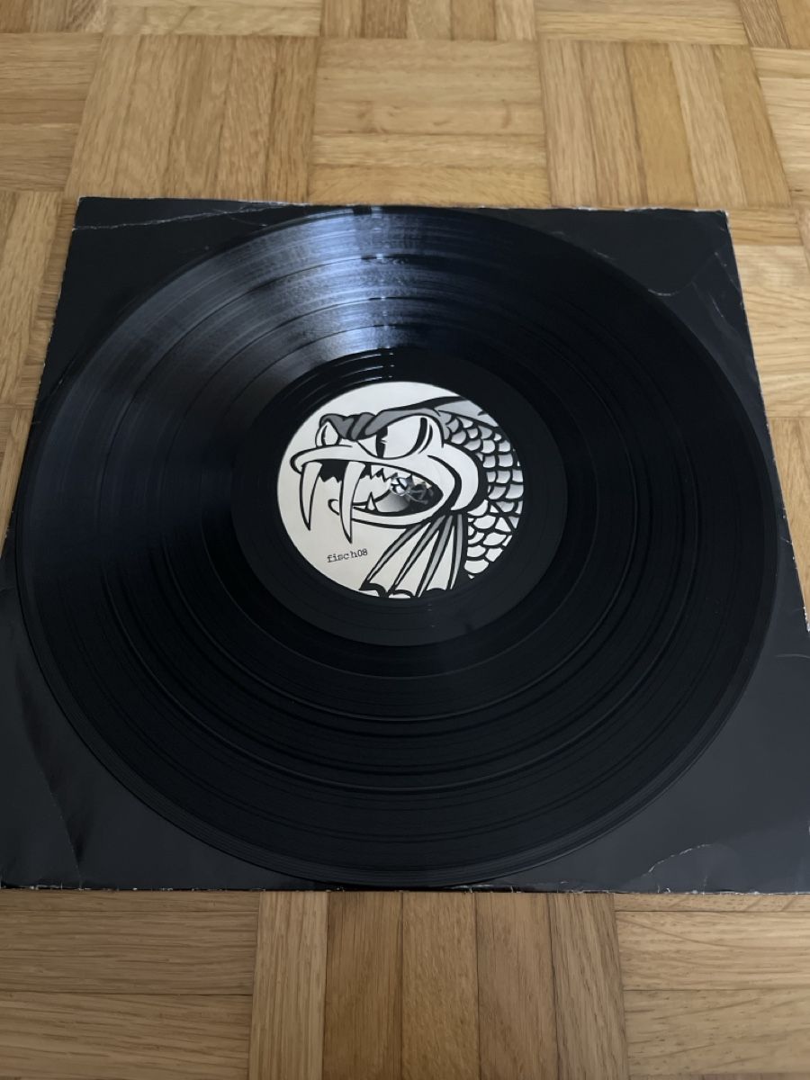 Schallplatten: Taciturne Hardcore / Speedcore Vinyl – Gebraucht aus Wangen b. Olten von break72 3