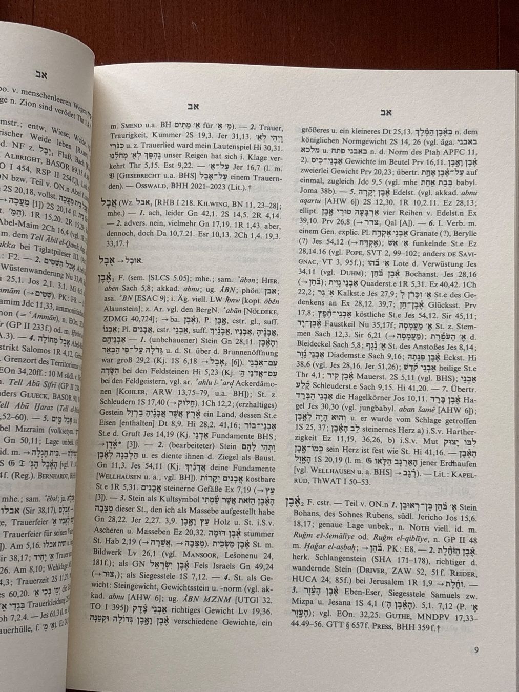 Libri: Gesenius 18. Auflage – Usato da Luzern venduto da dru_57p2 3