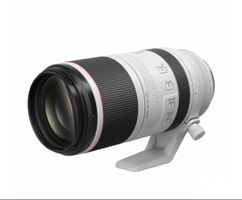 Objectif Canon RF 100-500mm F4.5-7.1L IS USM