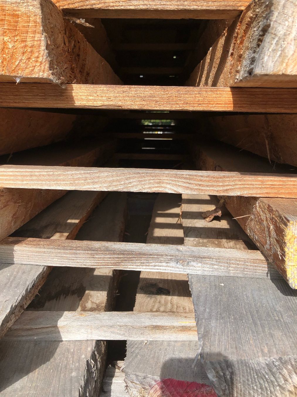 Articoli in legno: Klotzbretter – Nuovo (secondo la descrizione) da Hochdorf venduto da Sifrag 4