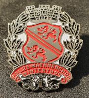 U906B - Pin Polizei Männerchor Winterthur / silberig