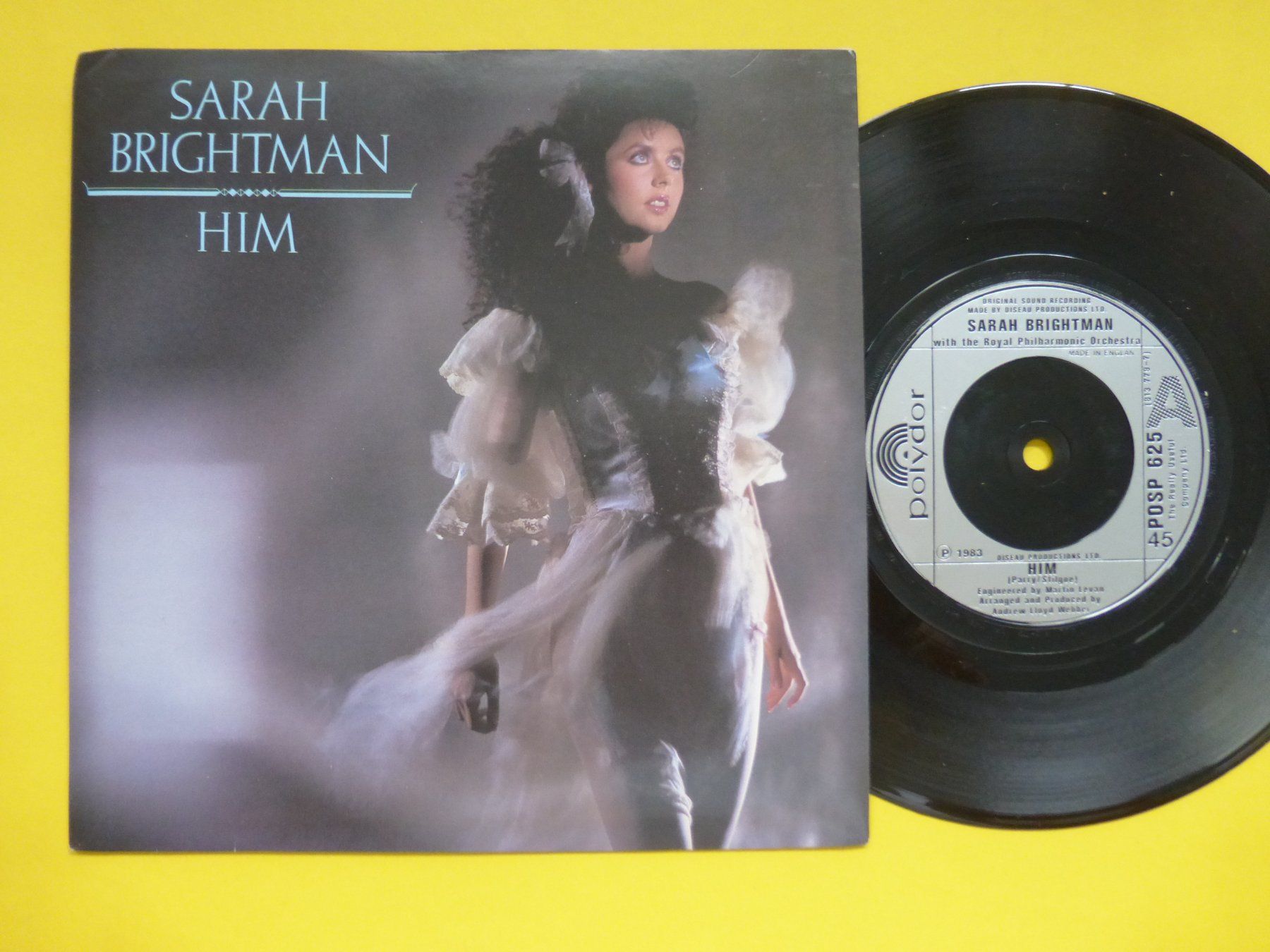 Dischi in vinile: Sarah Brightman – Him – Usato da Zürich venduto da Swiss57