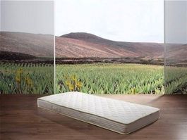 HIT: Aloe -VISCO -Matratze 180x200cm