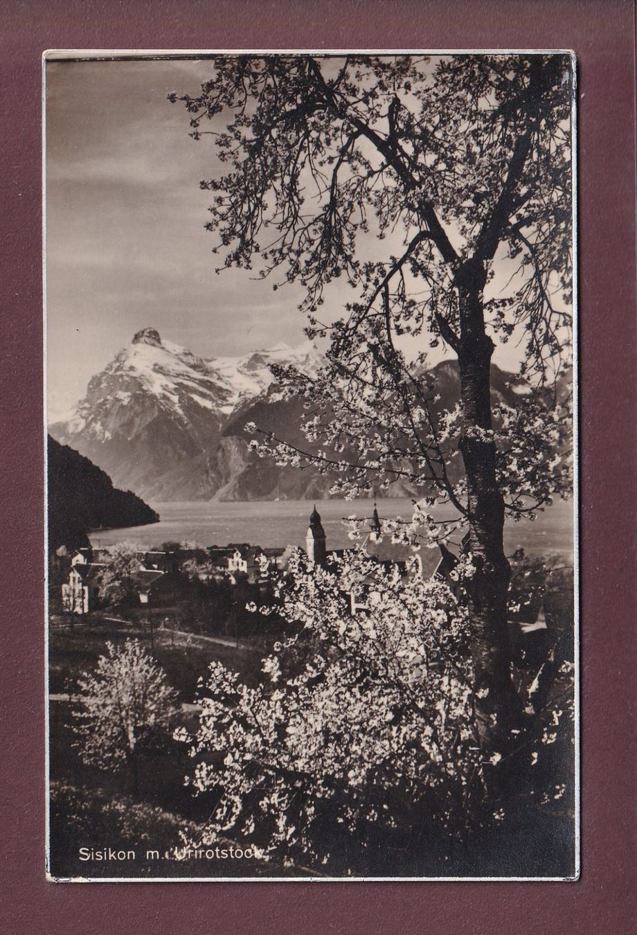 Cartoline postali: SISIKON - Urirotstock – Usato da Pully venduto da nicecards