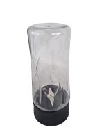 BOSCH ToGo blender Flasche