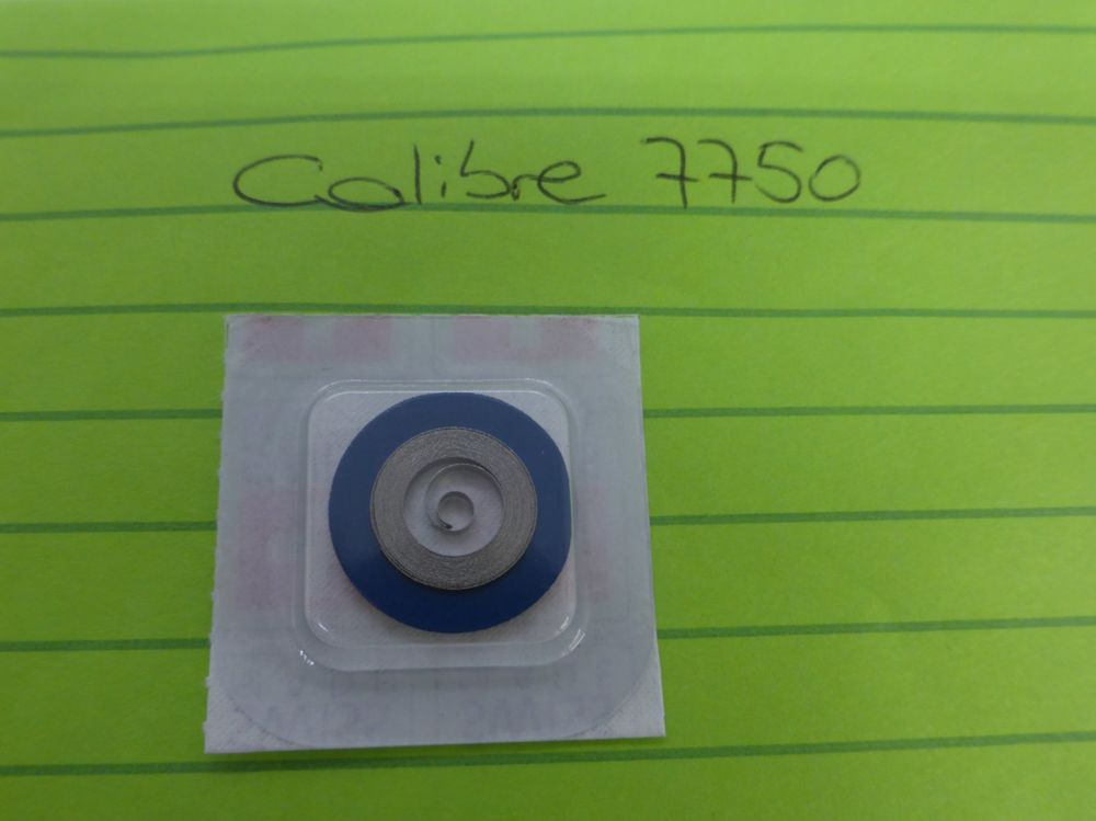 Ressort De Barillet 175 U 41 Pour Montres – Hauteur 1,75mm, Diamètre 12,5mm, Longueur 41cm | Pièce Détachée Horlogerie Gallia