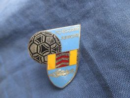 pin's F.C. Boudry (football)