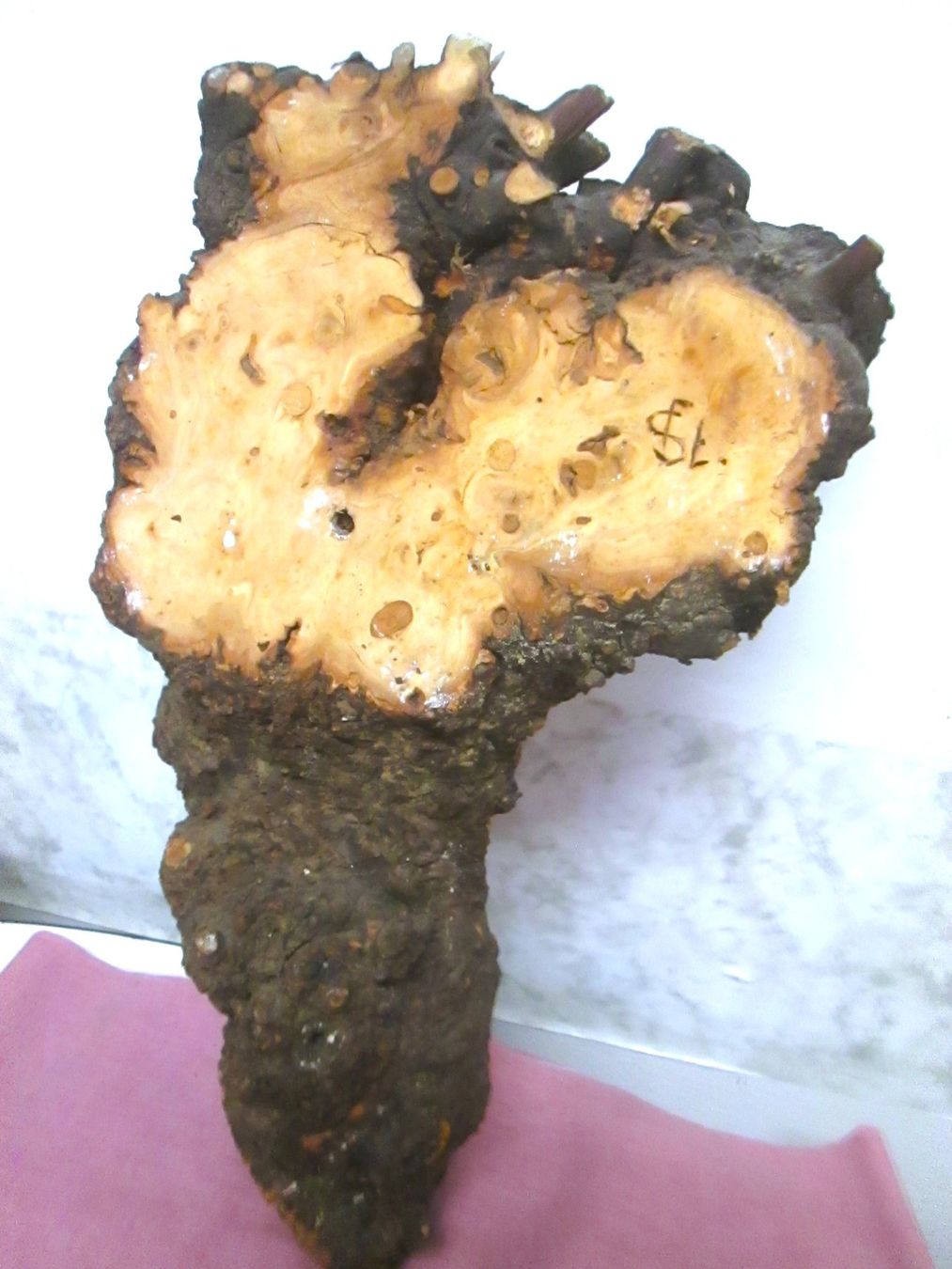 Sculture & Statue: In Holz geschnitztes Gesicht – Usato da Sementina venduto da babucia 4