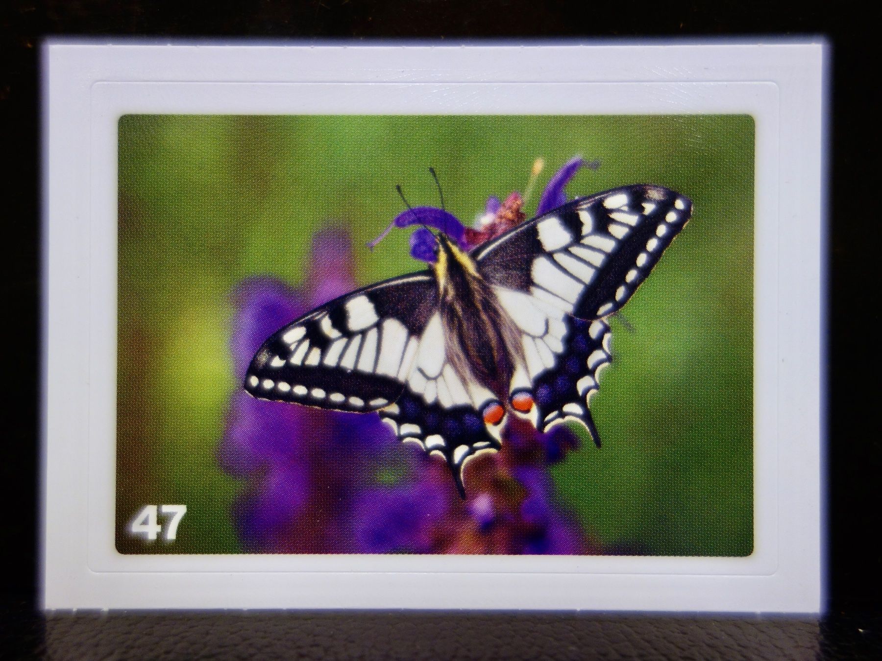 Migros Sammelbilder & Trading cards: MIGROS MANIA Nature Detectives Nr. 47 – Neu und originalverpackt aus Kerzers von djstarsky73