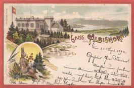 Gruss vom Albishorn - zw. Hausen und Horgen - Litho 1898