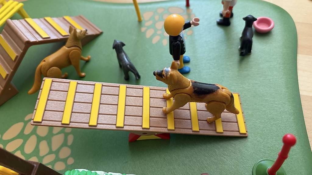 Playmobil Spielzeuge: Hunde-Agility von Playmobil – Gebraucht aus Zürich von Engelhard74 2