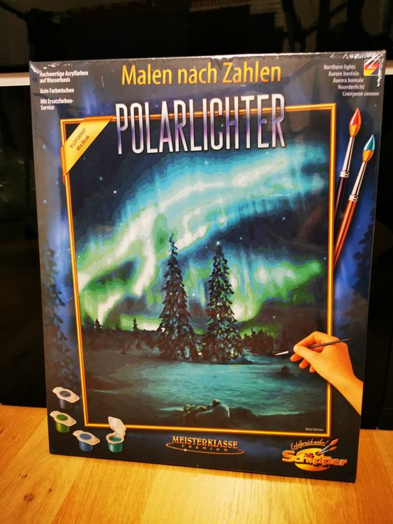 Malen nach Zahlen Polarlichter | Kaufen auf Ricardo