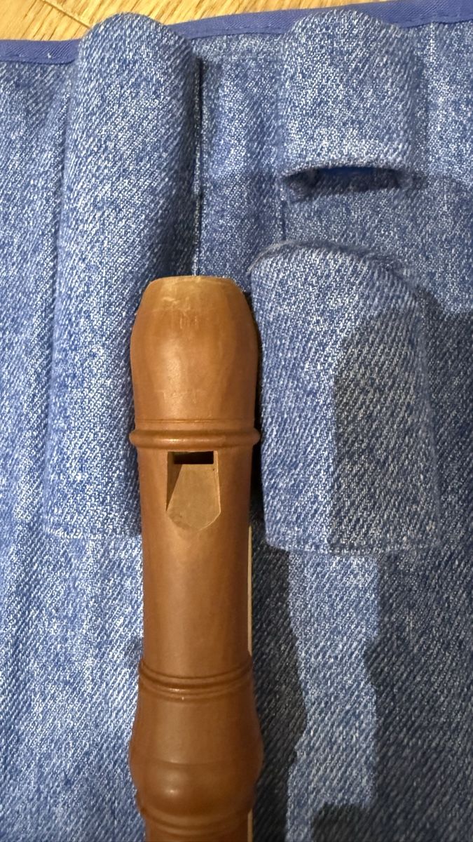 Musikinstrumente: Blockfloete mit Etui – Gebraucht aus Urdorf von kaaaariin 1