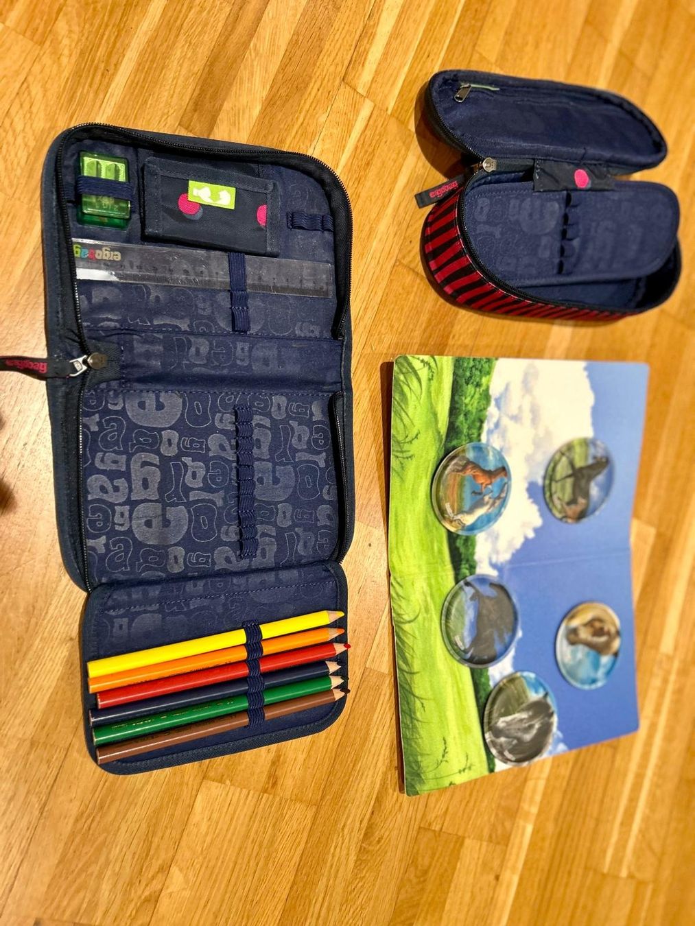 Ergobag Borse & Zaini: Ergobag Schulrucksack mit Etui und Pferde-Stickern – Usato da Stäfa venduto da Steve040 1