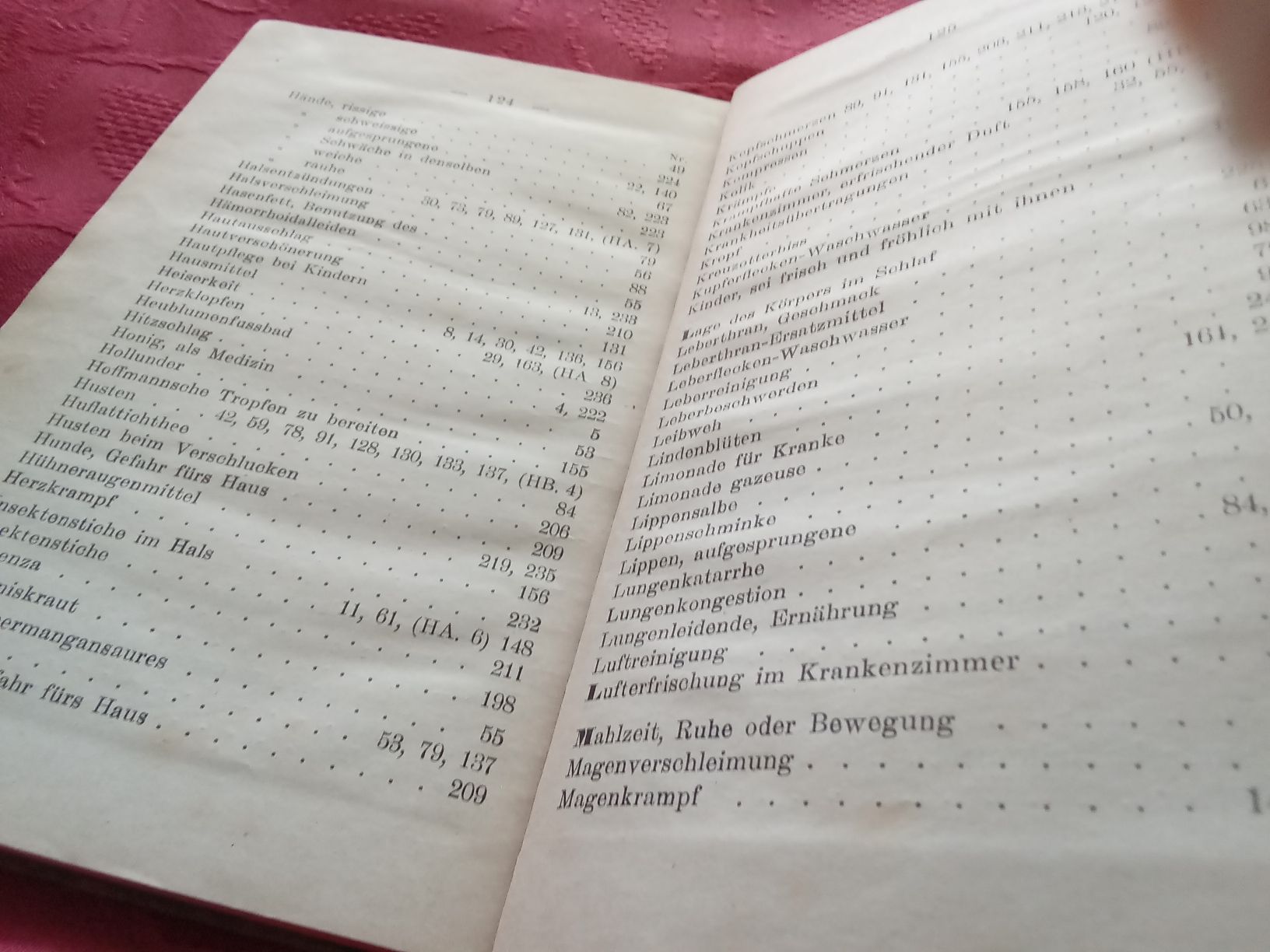 Libri: DER HAUSFREUND 1902 – Usato da Muri BE venduto da Alk 3