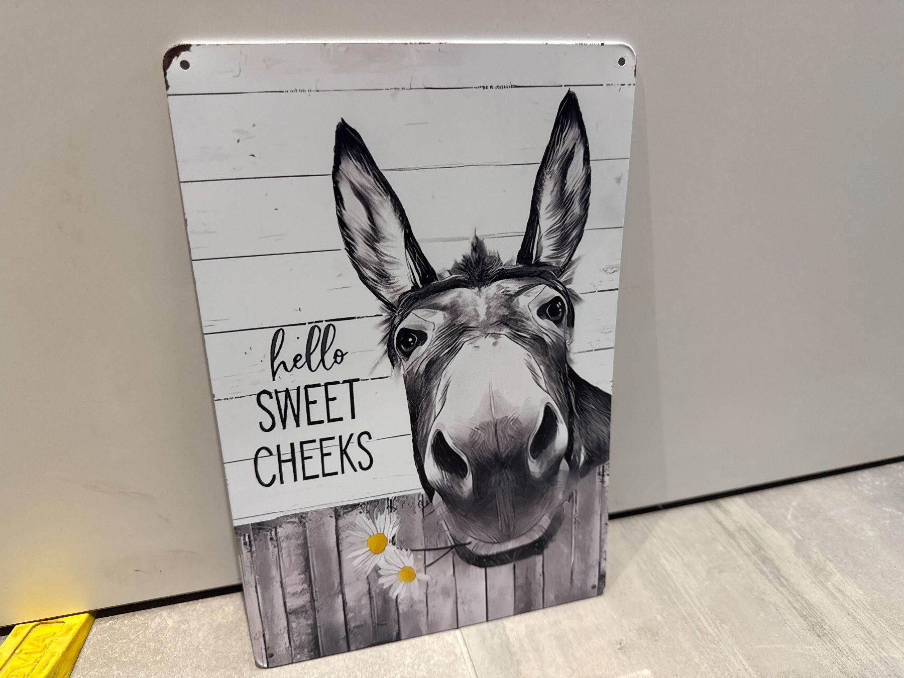 Ecriteaux: Hello SWEET CHEEKS / ANGEBOT METALL SCHILD – Neuf avec emballage d'origine à Seon par Aaargauer01 9