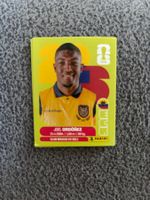 Panini Sticker ECU 8, Ecuador WM 2026